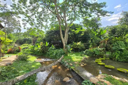 Tharnthong Lodge - pet friendly