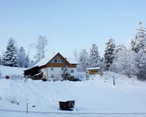 Mühlenmichelshäusle Hotels in Hinterzarten