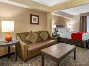 Comfort Suites Alpharetta/Roswell - Atlanta Area