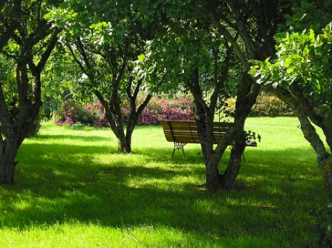 Quiet Room B&b - at Domaine de La Bellière