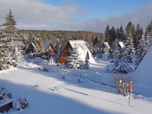 Ferienpark Tennenbronn