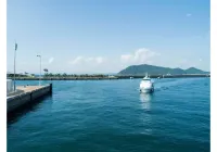Irou