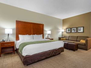 Comfort Inn & Suites Lenoir Hwy 321 Northern Foothills