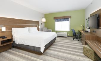Holiday Inn Express & Suites Denton-UNT-Twu