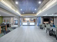 Holiday Inn Express & Suites COLUMBUS by IHG Hotels in Platte County