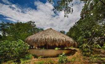 a thatched - roof hut is nestled in a wooded area near a body of water , surrounded by trees at Hotel Waya Guajira