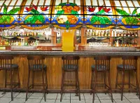 Hotel Viva Villahermosa - bar