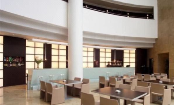 Hotel Abades Nevada Palace