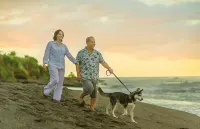 Gran Pacifica Beach Resort & Homes - Beach