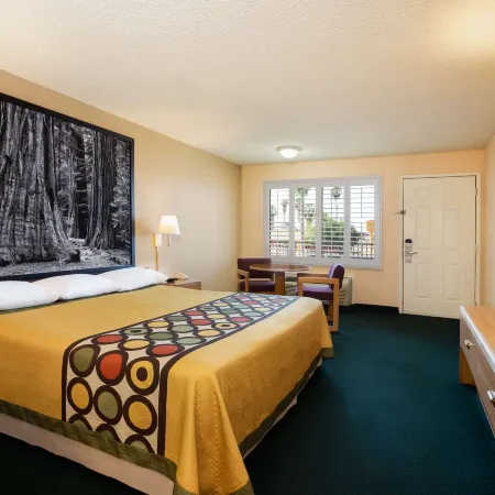 Super 8 by Wyndham Lindsay Olive Tree