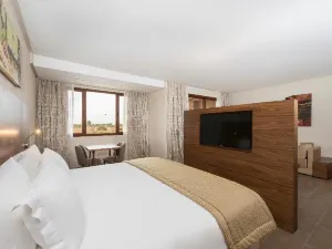 비 라이브 익스페리언스 마라케시 팔머레 -