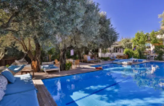 Oyster Residences - Adult Only