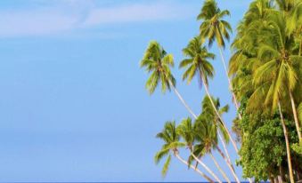 a beach scene with a group of palm trees and blue water , set against a backdrop of a clear sky at Asana Biak Papua Hotel