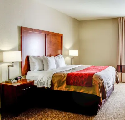 Comfort Inn Bessemer Birmingham South