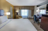 Holiday Inn ST. Petersburg N- Clearwater Hotel a Feather Sound