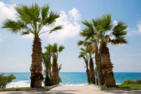 Pafian Park Holiday Village Hotels in 