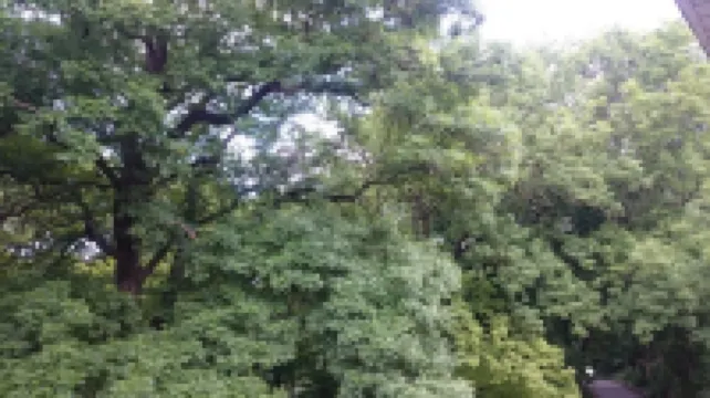 Dinamo Hotel Hotel di 