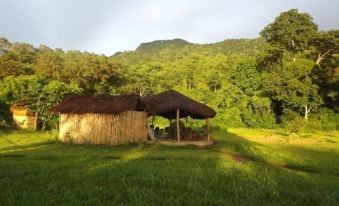 Udzungwa Forest Camp