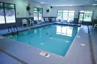 Hampton Inn Cincinnati-Eastgate - Pools