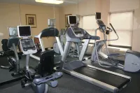 Hampton Inn Orlando-Walt Disney World Resort Maingate South - Gym