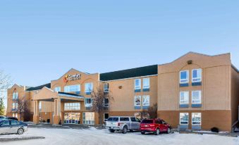 Comfort Inn & Suites Moose Jaw