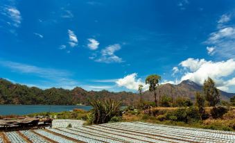 Villa Jempana Kintamani