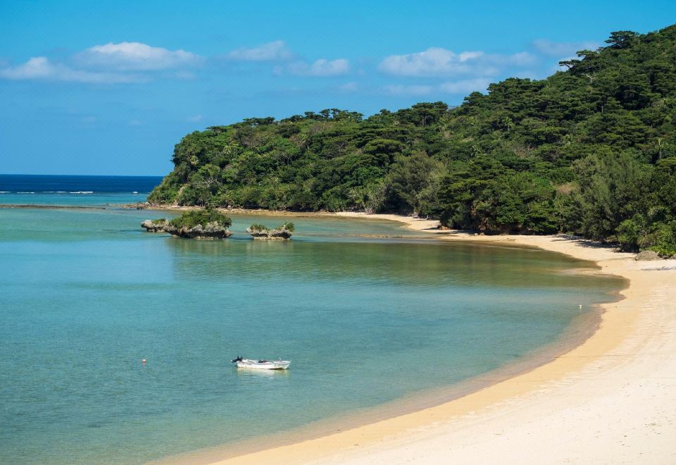 2. 더 이리오모테 ..