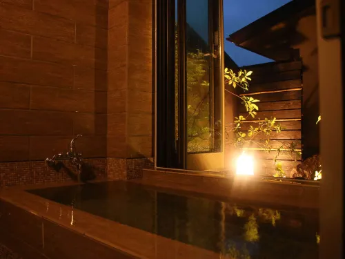 Ryokan Otsukien - Hot Springs