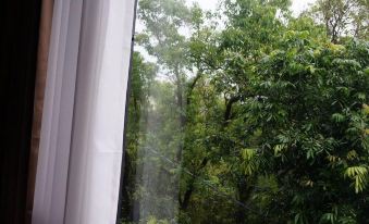 Natural Manor Resort