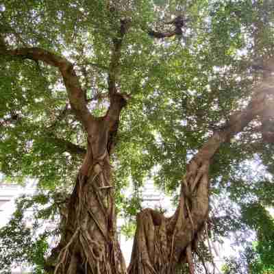 禧榕軒大飯店 Hotel Exterior
