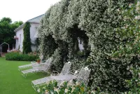 A Tapestry Garden Guest House فنادق في 
