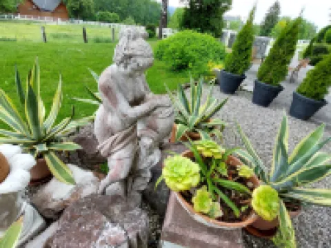 Tulpe 費爾登酒店