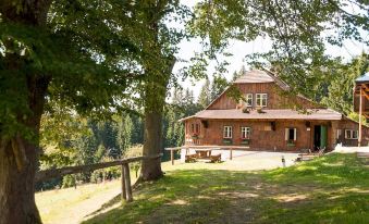 Tara, a Stunning Historic Log Farmhouse in Europes Biggest Nature Reserve