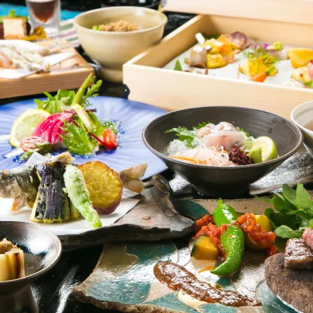 Shukubo Kawaseminoshou - the Kingfisher Resort -