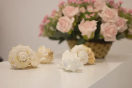 ザ スイート 262 ニゴンボ ビーチ周辺のホテル