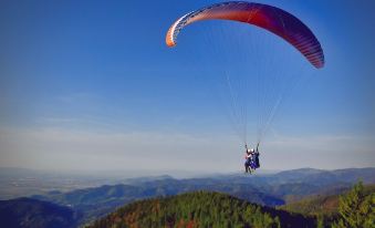 a man is paragliding over a mountainous landscape with trees and a clear blue sky at The Cotton House Hotel