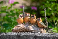 Chungju Chungju Hoban Pension