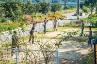 Yangpyeong Malgeunmul Pension