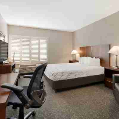 Best Western Lanai Garden Inn Suites Rooms