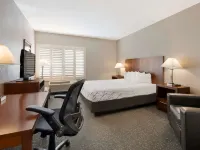 Best Western Lanai Garden Inn  Suites Hotels near Strike Brewing Company