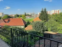 Vila Fortuna Auri Hotels in Băile Felix
