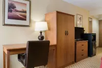 Quality Inn & Suites فنادق في Kochville Township