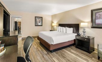 Best Western Coral Hills
