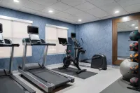 Homewood Suites by Hilton Richmond-Chester - Gym