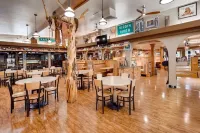 Best Western East Zion Thunderbird Lodge Hotels in Glendale