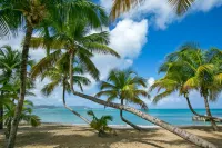 The Buccaneer Beach & Golf Resort - Beach