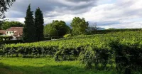 Agriturismo l'Eremo