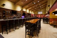 Best Western Plus Willmar Hotels in Willmar