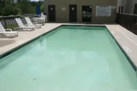 Hampton Inn Madison - Swimmingpools