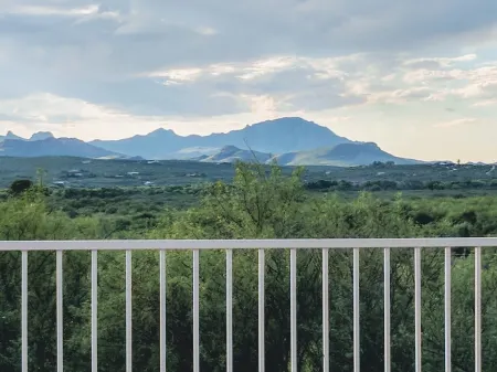 Serenity in Sunny Arizona with tons of birds and shade trees!  Bike Trail Galore